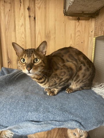 Fermeture exceptionnelle